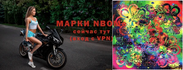 гашик Баксан