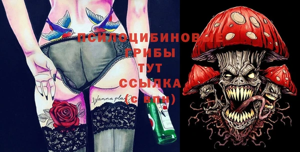 гашик Баксан