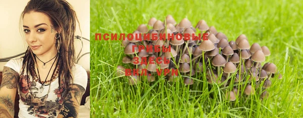 гашик Баксан