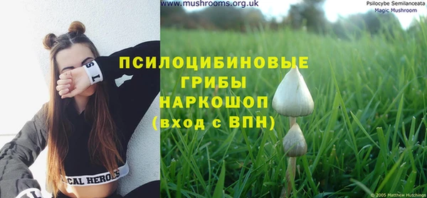 тгк Балахна