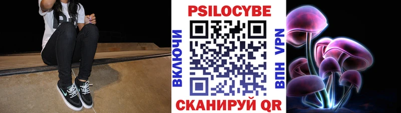 где купить наркотик  Прохладный  Галлюциногенные грибы Psilocybe 